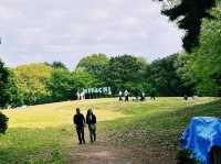 『 国営ひたち海浜公園 』