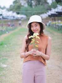 เที่ยวสวนบิ๊กเต้