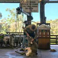 Perth | The Most Fun Activity at Caversham Wildlife Park