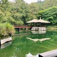 🌿阿里山姊妹潭｜靜謐如詩的山林秘境