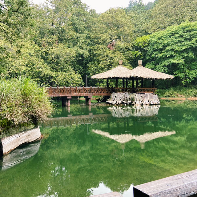 🌿阿里山姊妹潭｜靜謐如詩的山林秘境