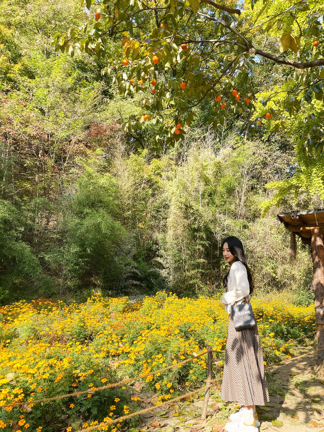 날씨 좋은 날 놀로가기 좋은 곳