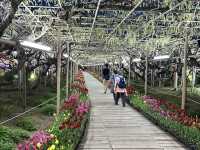 สวนดอกไม้ ตระการตา ใกล้โตเกียว