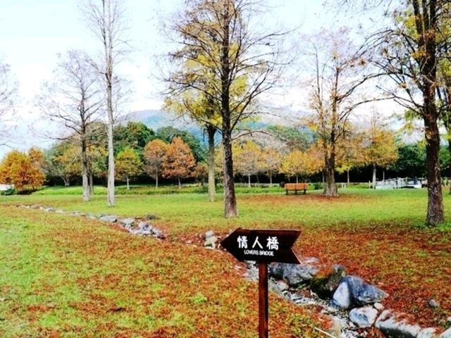 花蓮小旅行親子同遊好去處-新光兆豐悠閒好時光