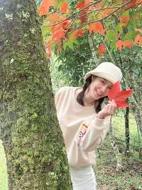  ตามหาใบเมเปิ้ลแดงกลางขุนเขา 🌄 🍁