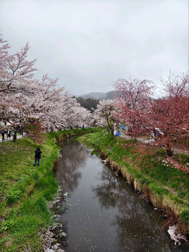 東京之旅-鐮倉與富士山