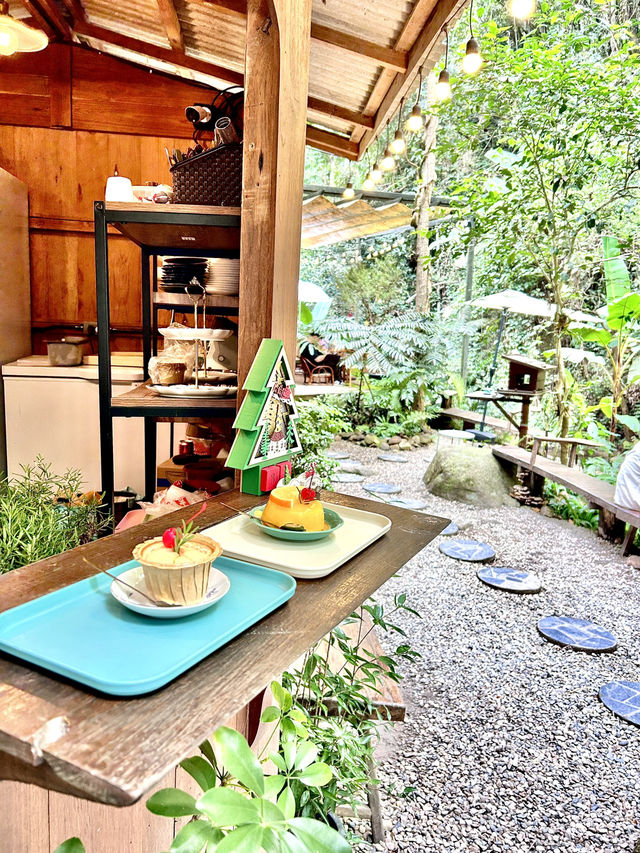 🌿☕ หลบเมือง มาซบลำธาร ที่ Claai Cafe, แม่ออน 