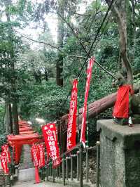 【鎌倉　佐助稲荷神社から源氏山へのライトトレッキング】