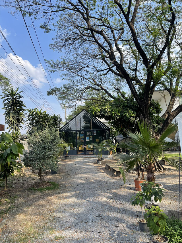Ground Phlox Cafe 🏕️ ซอยเฉลิมพระเกียรติ 75 