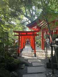 🌿【熱海・來宮神宮】樹齢2000年の御神木に会いに行く、癒しのパワースポット