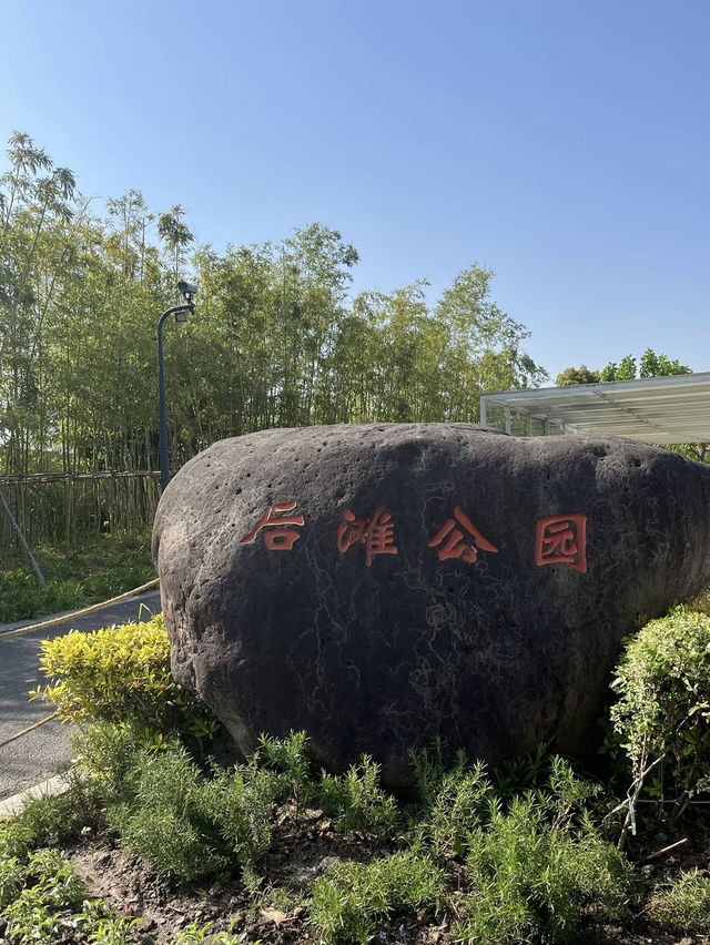 A Wetland Oasis by the River – Houtan Park, Shanghai