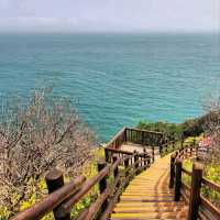 Cliff Walks, Ocean Breeze, and Zero Regrets