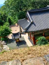 숲속의 고즈넉한 천년고찰 🕊️