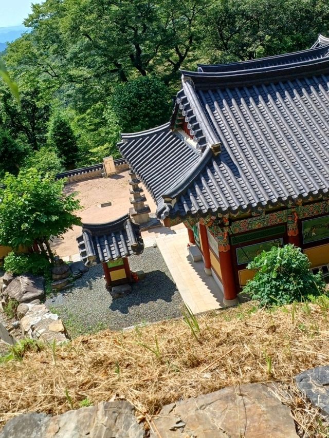 숲속의 고즈넉한 천년고찰 🕊️