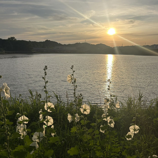 노을이 아름다운 오송호수공원 🌅