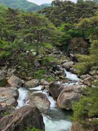 Splashing Around Chilseon Valley
