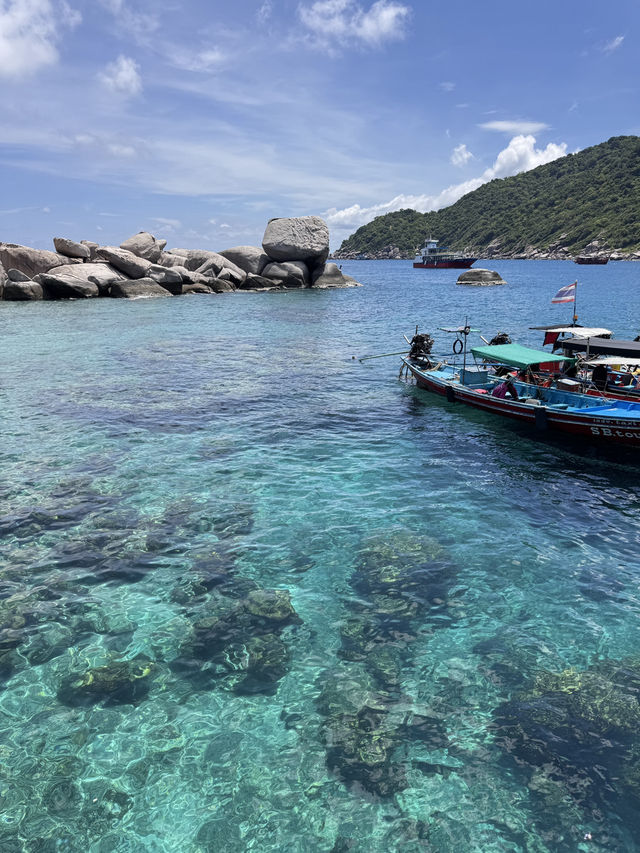 เกาะเต่า🐢