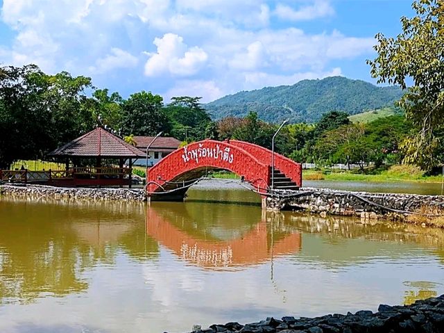 น้ำพุร้อนป่าตึง แหล่งท่องเที่ยวธรรมชาติในแม่จัน