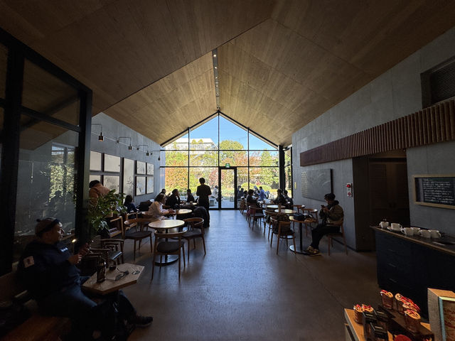 Espresso Meets Edo: Japan’s Most Scenic Starbucks in Kawagoe