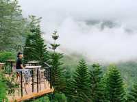The Piney Bistro Cafe เขาค้อ 🍃☘️💚