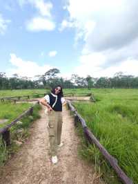 อุทยานแห่งชาติไทรทอง ทุ่งบัวสวรรค์