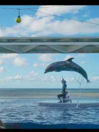 海と語らう場所。うみがたりで出会う、静かな感動🐬