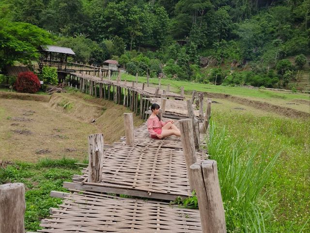 ถ่ายรูปสะพานไม้ไผ่วิวทุ่งนา กับ วัดนาคูหา📍แพร่ 
