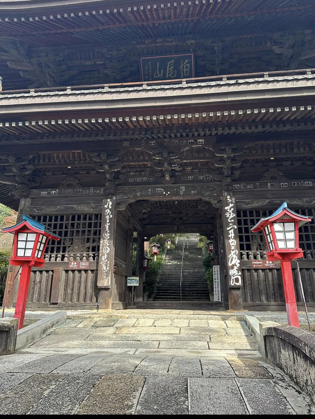 🍇ぶどうと仏の物語。大善寺で心静まる歴史旅⛩️