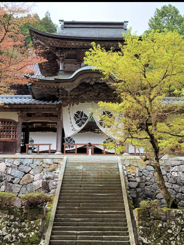 【永平寺で心を整える禅の旅】静寂に包まれる福井の名刹🙏🍃 