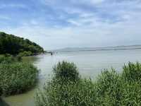 🌿 Yuantouzhu 鼋头渚 — A Peaceful Summer Escape by Taihu Lake