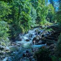 「Tumwater Falls」—静寂の中に響く滝の癒し
