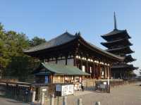 🛕 Peace and Presence at Kōfuku-ji, Nara