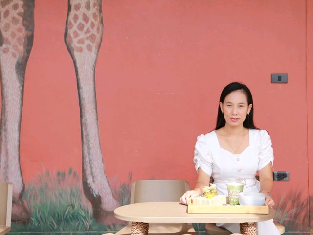 SAFARI Matcha Bar Khaoyai 