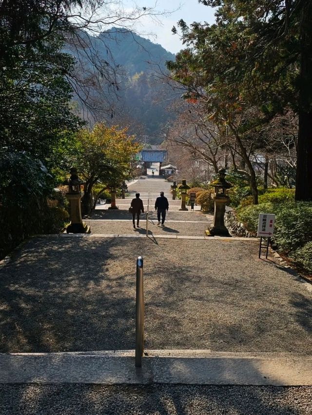 오사카 간신지 사찰에서 만난 평화로운 시간