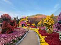 Green Escape at Daegu Arboretum