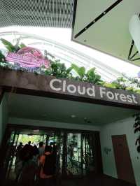 Step into Jurassic Wonder at Cloud Forest SG – A Must-Visit Experience!
