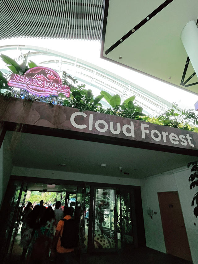 Step into Jurassic Wonder at Cloud Forest SG – A Must-Visit Experience!