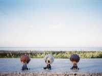 1 Day trip สงขลาเมืองเก่า