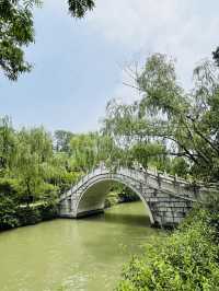 Where Water Meets Elegance: A Day at Slender West Lake
