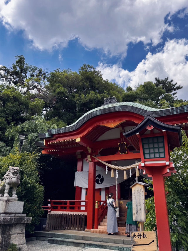 【自由が丘】心を整える最強パワースポット⛩熊野神社
