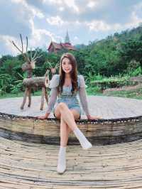 ชิราคาวาโกะ คาเฟ่ สวนผึ้ง