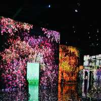 ARTE MUSEUM Busan: An Immersive Digital Art Wonderland