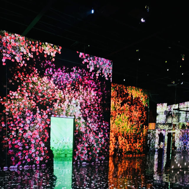 ARTE MUSEUM Busan: An Immersive Digital Art Wonderland
