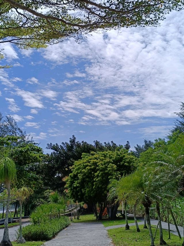 central Park Miri 