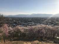 史跡-弘法山古墳（賞櫻花）