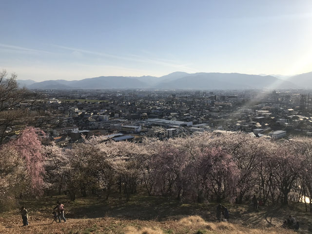 史跡-弘法山古墳（賞櫻花）