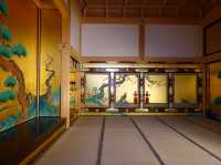 🏯 Timeless Beauty and Family Fun at Nagoya Castle