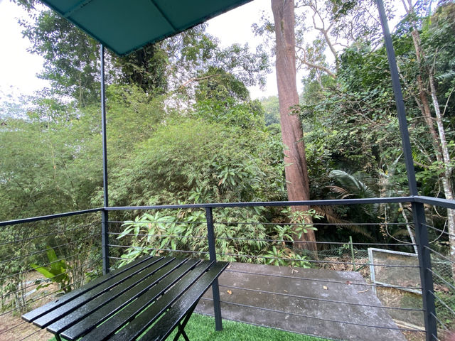 🍃🍃Short trip escape from city 🍃🍃