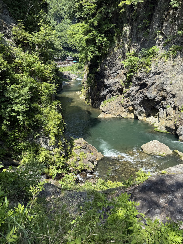 夏にぴったり🌊「鳩ノ巣渓谷」で川遊びを満喫しよう✨