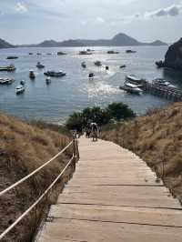 Labuan Bajo Day Trip: Islands, Dragons, and Beaches
